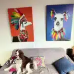 ¿No tienes más espacio para decorar, pero quieres renovar tu casa?