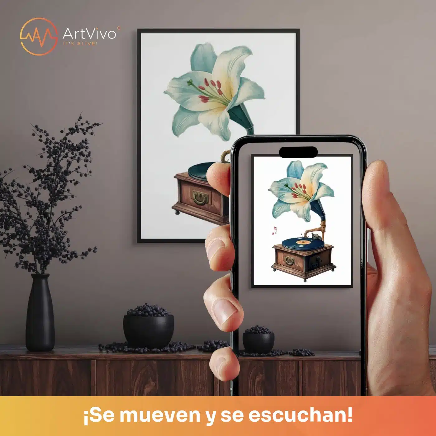 Cuadro decorativo animado La Música Florece: lirio blanco que sale de un gramófono antiguo, quieto en la pared y cobrando vida en el celular con el QR