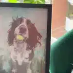 Cuadro de mascota personalizado: cómo elegir la foto y el estilo